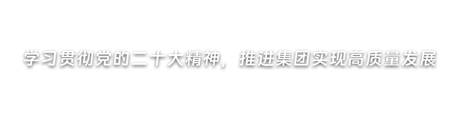 深入开展党纪学习教育，推进集团高质量发展